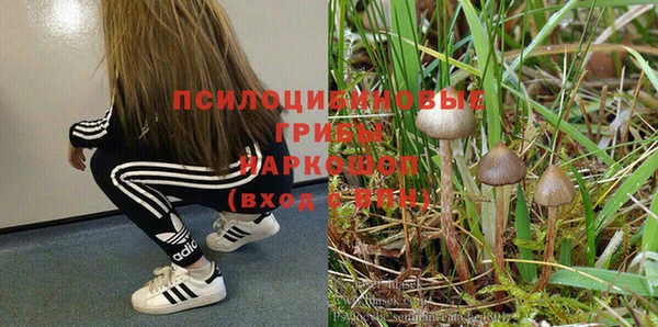 герыч Няндома