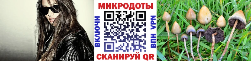 Купить  Новошахтинск  Галлюциногенные грибы Magic Shrooms 