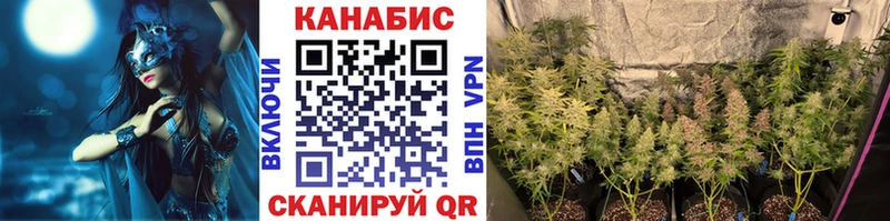 Бошки марихуана гибрид  Купить где  Новошахтинск 